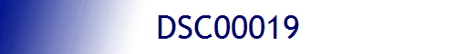 DSC00019