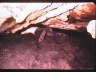 DSC00084