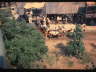 DSC00091